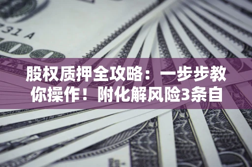 武汉股权质押全攻略：一步步教你操作！附化解风险3条自救法则