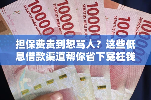 武汉担保费贵到想骂人？这些低息借款渠道帮你省下冤枉钱