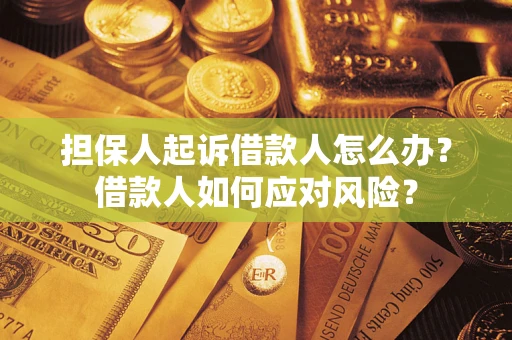武汉担保人起诉借款人怎么办？借款人如何应对风险？