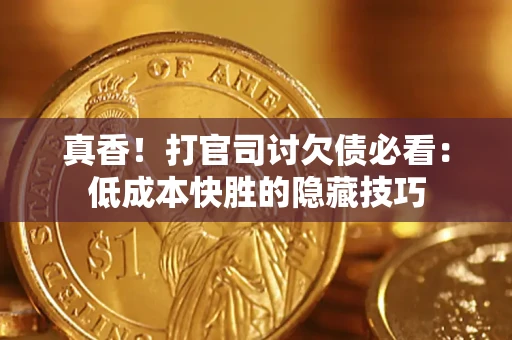 武汉真香！打官司讨欠债必看：低成本快胜的隐藏技巧