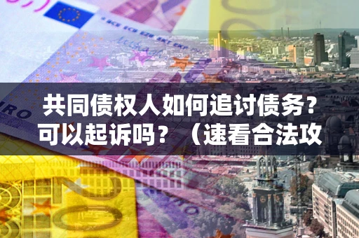 武汉共同债权人如何追讨债务？可以起诉吗？（速看合法攻略）