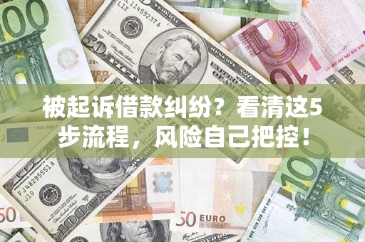武汉被起诉借款纠纷？看清这5步流程，风险自己把控！